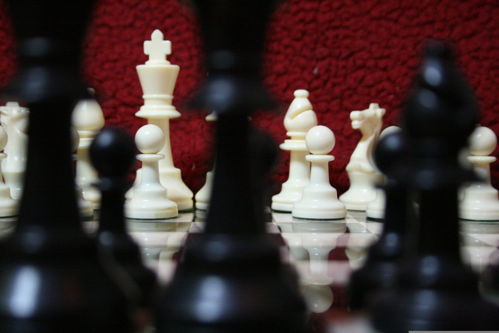 kpereira52291 chess 4087872 scaled